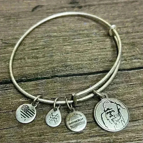 Alex and Ani Ellen Fund | 2018 Save the Gorillas Charm Bangle Bracelet - Picture 1 of 3